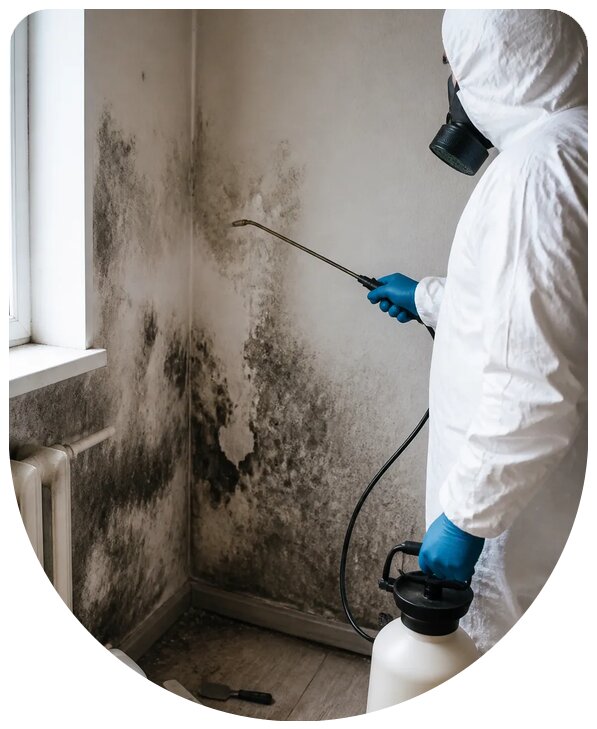 Профессиональное удаление плесени в Тюмени с гарантией результата